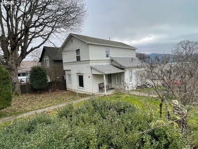 Columbia River Home For Sale in Whitesalmon Washington