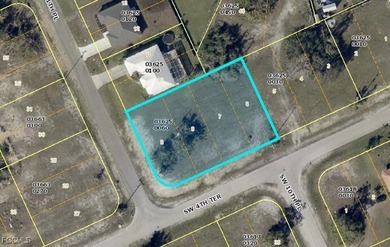 Fantastic opportunity for Multi-Use Commercial Lot in the Pine - photo 3