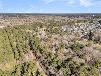 Rare Opportunity in Legend Oaks Plantation - 15.81 Acres in - photo 20