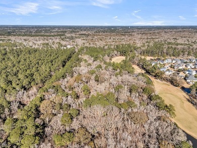 Rare Opportunity in Legend Oaks Plantation - 15.81 Acres in - photo 21