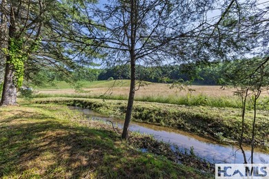 560 Salt Rock Rd in Cullowhee, North Carolina, is a 55.91-acre - photo 6