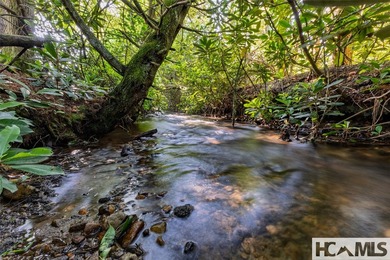 560 Salt Rock Rd in Cullowhee, North Carolina, is a 55.91-acre - photo 7
