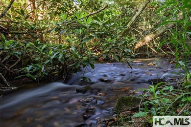 560 Salt Rock Rd in Cullowhee, North Carolina, is a 55.91-acre - photo 8