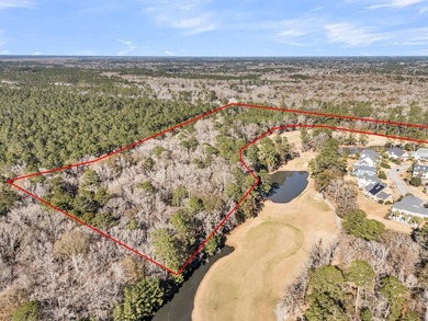 Rare Opportunity in Legend Oaks Plantation - 15.81 Acres in - photo 35