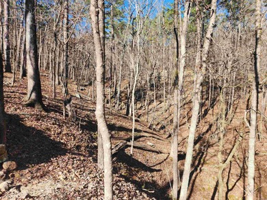 Lake Ouachita Acreage For Sale in Royal Arkansas