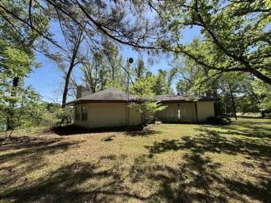 Fine Camp on 260' of Beautiful Bushley Bayou - photo 14