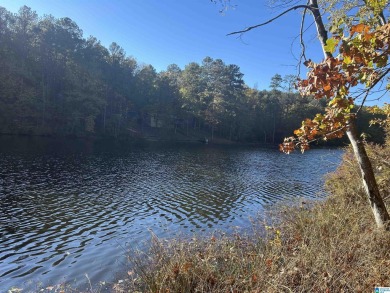 (private lake, pond, creek) Lot For Sale in Vance Alabama