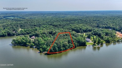 Lake Acreage For Sale in Cedar Grove, Tennessee