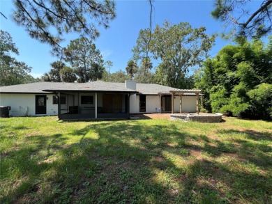 Investor's Dream in Stone Island, Florida! This fixer-upper is a - photo 14
