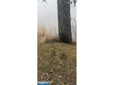 27 Acres on Lake Leander with 50' of lakeshore. Lot A is 3 acres - photo 21