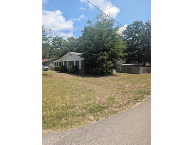 NO HOA!!! This property sits on a spacious corner lot with - photo 3