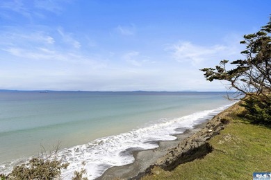 Exquisite views of the Strait of Juan de Fuca and the Olympic - photo 42