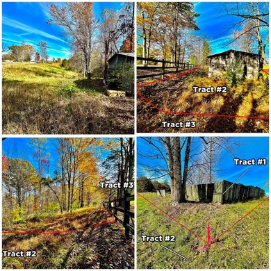 A 21.58 Acre property in Pulaski County with HUGE Potential! - photo 3