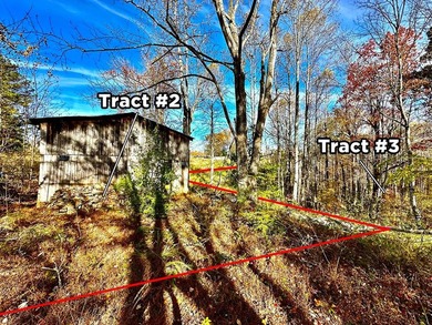 A 21.58 Acre property in Pulaski County with HUGE Potential! - photo 6