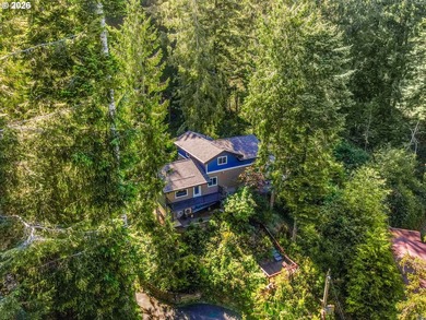 Perched high among the trees at the end of a private drive, this - photo 47