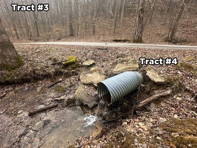 A 21.58 Acre property in Pulaski County with HUGE Potential! - photo 9