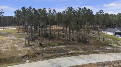 Lake Lot For Sale in Brookeland, Texas