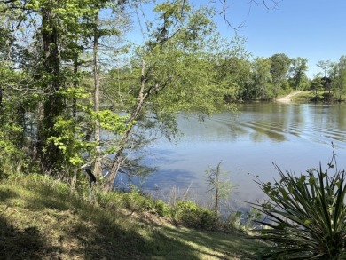 Fine Camp on 260' of Beautiful Bushley Bayou - photo 9
