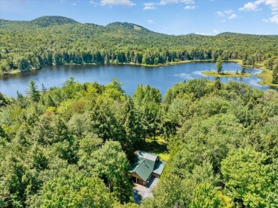 (private lake, pond, creek) Home For Sale in Old Forge New York