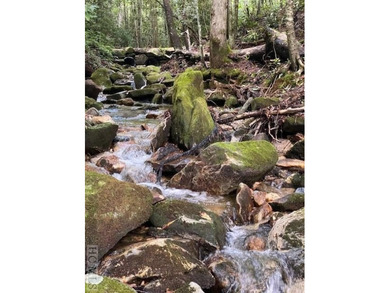 Hogback Lake Acreage For Sale in Sapphire North Carolina