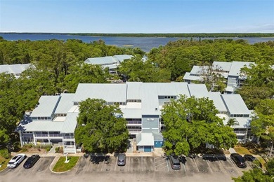 Lake Tarpon Condo For Sale in Palm Harbor Florida