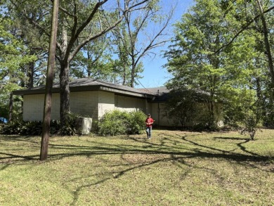 Fine Camp on 260' of Beautiful Bushley Bayou - photo 2