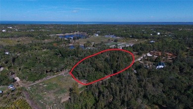 Escape to Your Private 1-Acre Island Sanctuary in Bokeelia! - photo 4