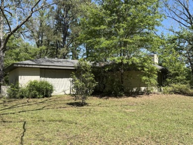 Fine Camp on 260' of Beautiful Bushley Bayou - photo 16