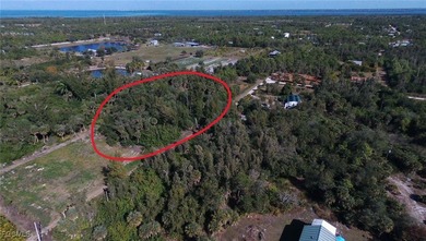 Escape to Your Private 1-Acre Island Sanctuary in Bokeelia! - photo 6