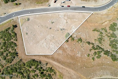 Exceptional Lot in Cougar Moon! Lot #109 is a spectacular 1 - photo 4