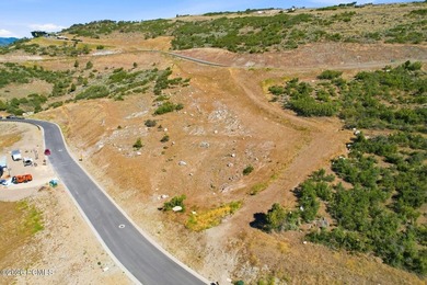 Exceptional Lot in Cougar Moon! Lot #109 is a spectacular 1 - photo 10