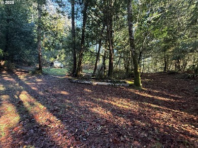 Siuslaw River Lot For Sale in Mapleton Oregon