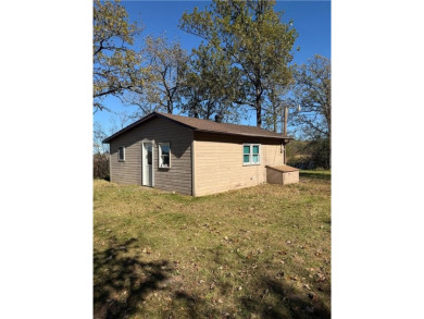 (private lake, pond, creek) Home For Sale in Rosing Twp Minnesota