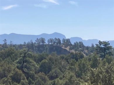 Lake Acreage For Sale in Rutheron, New Mexico