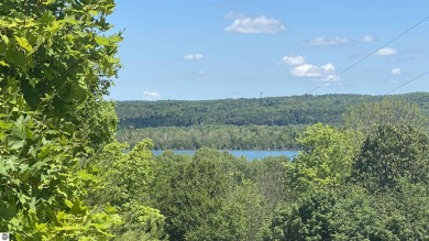 Intermediate Lake Lot For Sale in Bellaire Michigan