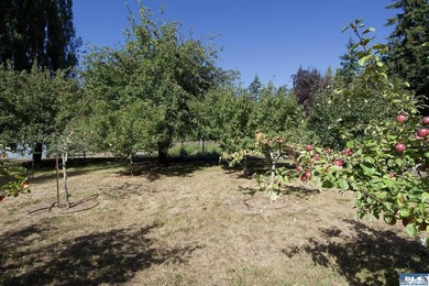 Live completely sustainably in this secluded paradise! The whole - photo 27