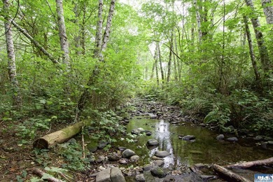 Live completely sustainably in this secluded paradise! The whole - photo 31