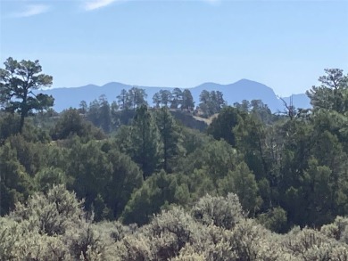 Lake Acreage For Sale in Rutheron, New Mexico