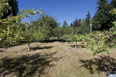 Live completely sustainably in this secluded paradise! The whole - photo 35