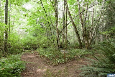 Live completely sustainably in this secluded paradise! The whole - photo 43
