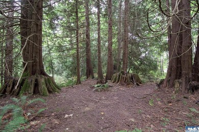 Live completely sustainably in this secluded paradise! The whole - photo 44