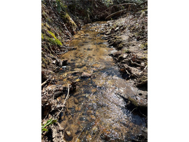 32 +/- acres super convenient to schools, hospitals, groceries - photo 1