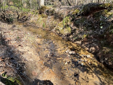 32 +/- acres super convenient to schools, hospitals, groceries - photo 3