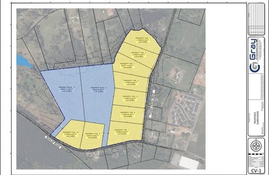 32 +/- acres super convenient to schools, hospitals, groceries - photo 4