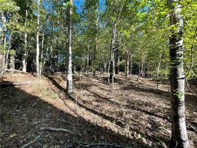 32 +/- acres super convenient to schools, hospitals, groceries - photo 6