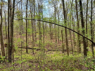 32 +/- acres super convenient to schools, hospitals, groceries - photo 7