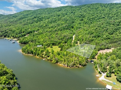 Lake Lot For Sale in Washburn, Tennessee