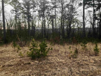 Greers Ferry Lake Lot For Sale in Clinton Arkansas