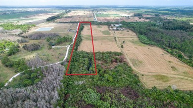 10 acres with 200 feet frontage directly on Bridge Rd. Land is - photo 7
