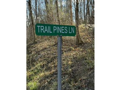 Cave Run Lake Lot For Sale in Frenchburg Kentucky